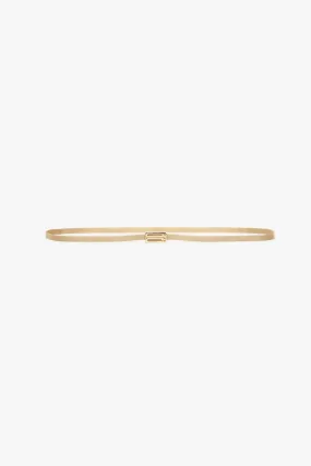 Brass Micro Frame Belt In Light Gold