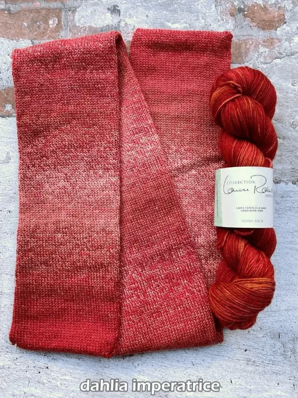 Shawl Knitting kit Fête des Couleurs - TWISTABELLA & SUPER SOCK VERSION